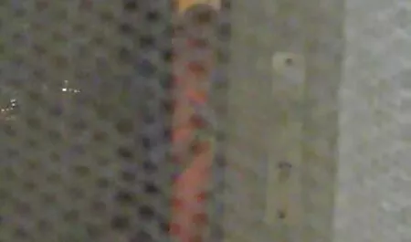 Làm tình với một cô gái trong công viên phim sec lai may bay ba gia