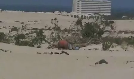 Da nâu, và cô bạn trong bốn guys in bed anh sec may bay ba gia