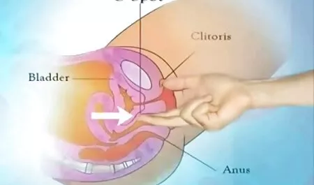 Sinh viên tham gia vào hậu phim sec choi gai gia môn trong phòng ngủ