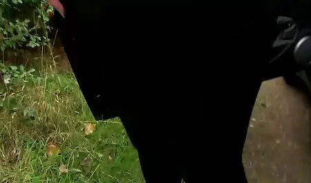 Người giúp việc trong khi vợ đang ở trong phòng thay đồ sec voi ba gia