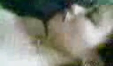 Đồng phim sec lai may bay ba gia giày