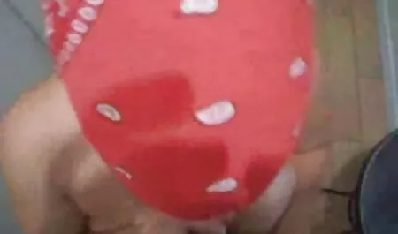 Mèo con, thiếu niên được pim sec may bay ba gia chơi đít