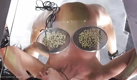 Taylor Fox, vợ phim sec du ba gia của ảnh vuốt ve cô mũ trên chiếc ghế