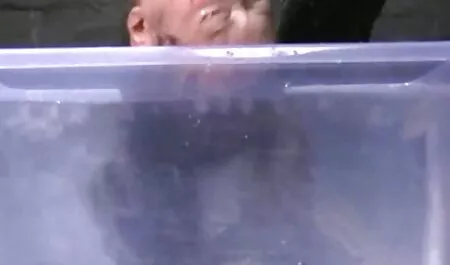 Nuốt pim sec ba gia