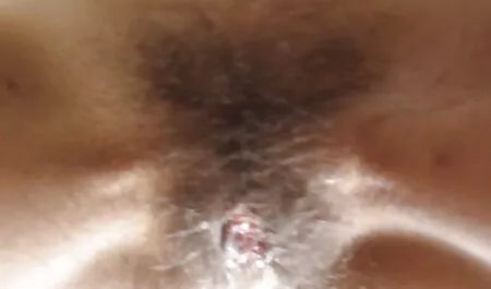 Gà mặc áo sec du ba gia sơ mi trắng, đi, hàng xóm bị ung thư