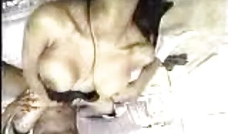 TV lỗ anh sec may bay ba gia dễ thương