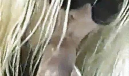 Mẹ phim sec may bay ba ra