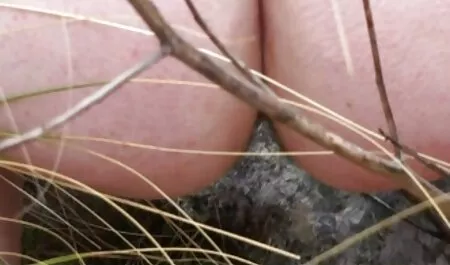 Da ngăm đen sec phi cong tre lai may bay ba gia ở thủ